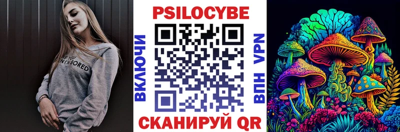 Псилоцибиновые грибы GOLDEN TEACHER  где найти наркотики  Ладушкин 