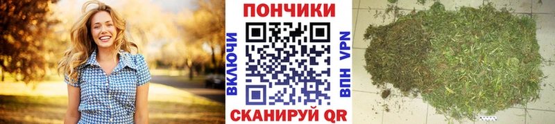Конопля Bruce Banner  как найти   Ладушкин 